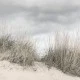 Fototapet premium, model 3d, Paleta sofisticată de culori Pale Shore, Pastel, dimensiuni pe comanda