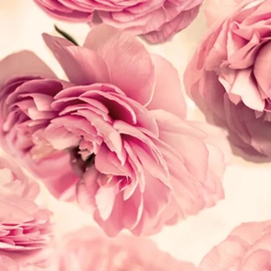 Fototapet premium, model 3d, vară eternă Summer Wind, dimensiuni pe comanda