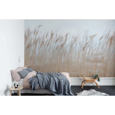 Fototapet premium, model 3d, coasta marina Swaying Reed, dimensiuni pe comanda Rebel Walls