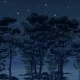 Fototapet premium, model 3d, Miezul nopții în pădurea fermecată, The Enchanted Forest, dimensiuni pe comanda