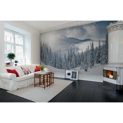 Winter R11571  Rebel Walls