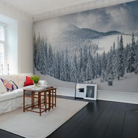 Winter R11571 
