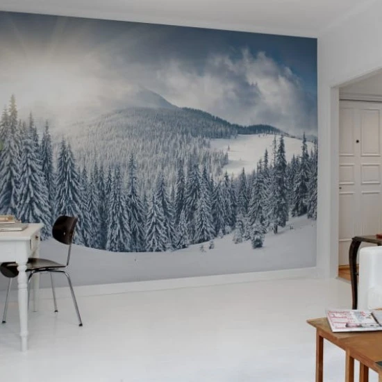 Winter R11571 