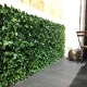 LAURUS 6091-"gard viu" artificial, sintetic 1x1m LAURUS 6091-"gard viu" artificial, sintetic 1x1m