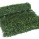 CONIFER mix 8011-"gard viu" artificial, sintetic 1,5mx3m CONIFER mix 8011-"gard viu" artificial, sintetic 1,5mx3m
