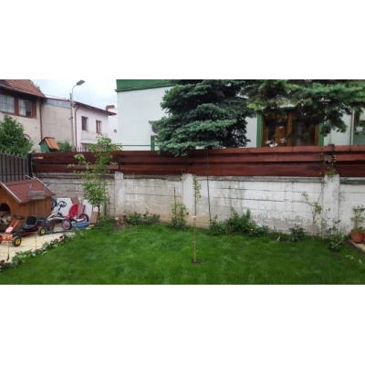 CONIFER mix 8011-"gard viu" artificial, sintetic 1,5mx3m Premier Decor