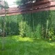 CONIFER mix 8011-"gard viu" artificial, sintetic 1,5mx3m CONIFER mix 8011-"gard viu" artificial, sintetic 1,5mx3m