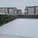 HEDERA helix 8041-"gard viu" artificial, sintetic 1x1m