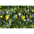 TRELLIS EXTENSO 8071 yellow rose-gard viu artificial 1m x 2m