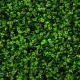 GW 6013 GreenWall Clover Mix-perete verde artificial 1x1m