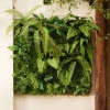 Perete verde artificial Living Wall 1x1m