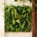 Perete verde artificial Living Wall 1x1m