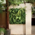 Perete verde artificial Living Wall 1x1m