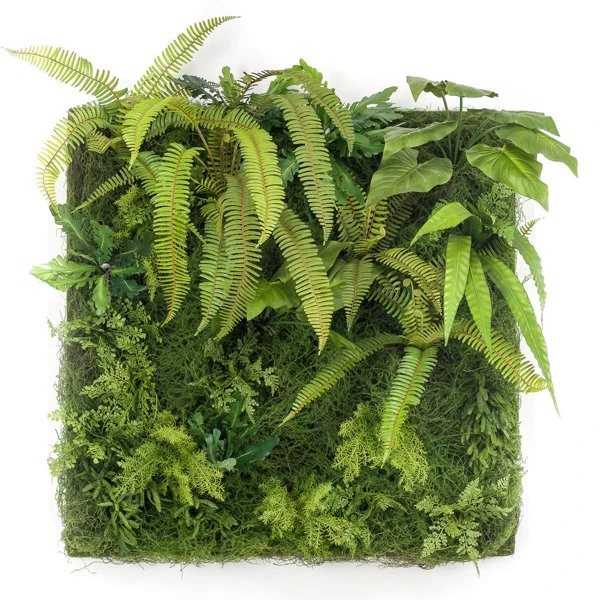 Perete verde artificial Living Wall 1x1m
