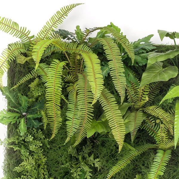 Perete verde artificial Living Wall 1x1m