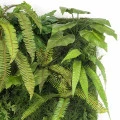 Perete verde artificial Living Wall 1x1m
