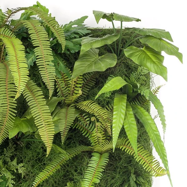 Perete verde artificial Living Wall 1x1m