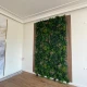 Perete verde tropical artificial GW6137 - 100 x 100 cm