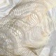 FOTO TAPET Aesthetic Gray Feathers, gri abstract, dimensiuni pe comanda FOTO TAPET Aesthetic Gray Feathers, gri abstract, dimensiuni pe comanda