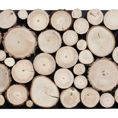 Panou din lemn Pure Stegu