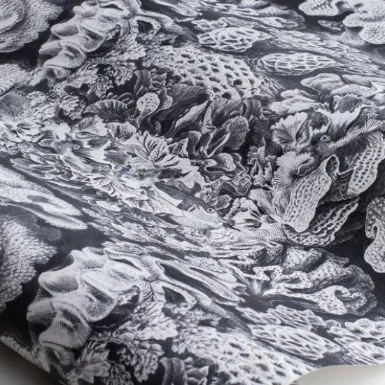 Tapet Rebelwalls Oddity, Aquila, Cloud