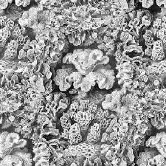 Tapet Rebelwalls Oddity, Aquila, Cloud