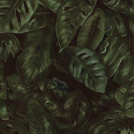 Tapet Oddity, Cameroon, Fern