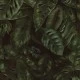 Tapet Oddity, Cameroon, Fern Tapet Oddity, Cameroon, Fern