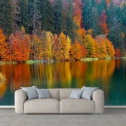 Fototapet 3D Living si Dormitor