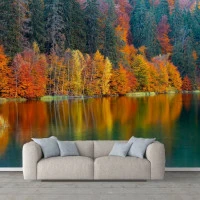 Fototapet 3D Living si Dormitor