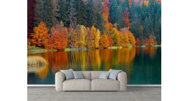 Fototapet 3D Living si Dormitor