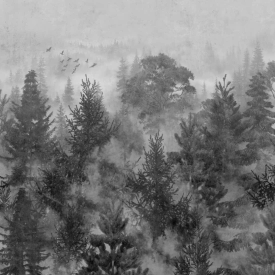 Fototapet fara imbinari Taiga