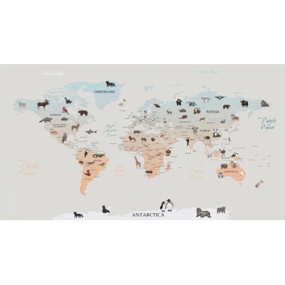 Fototapet fara imbinari Cartoon World Map Premier Decor
