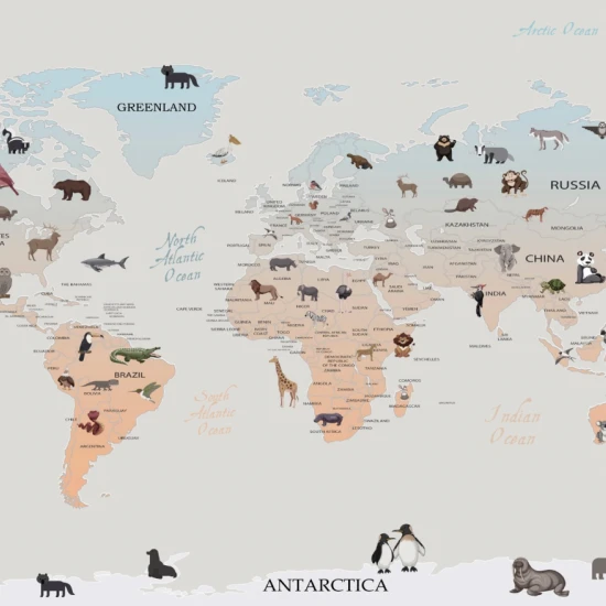 Fototapet fara imbinari Cartoon World Map