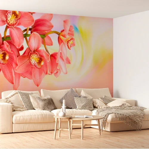 Fototapet fara imbinari Orchid