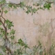 Fototapet fara imbinari Curly Trees With Branches And Leaves