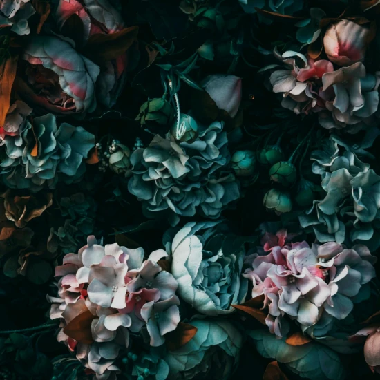 Fototapet fara imbinari Flowers In The Dark