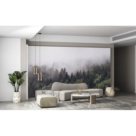 Fototapet fara imbinari Dense Coniferous Forest Premier Decor