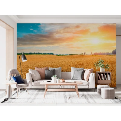 Fototapet fara imbinari Wheat Crop Field Sunset Landscape Premier Decor