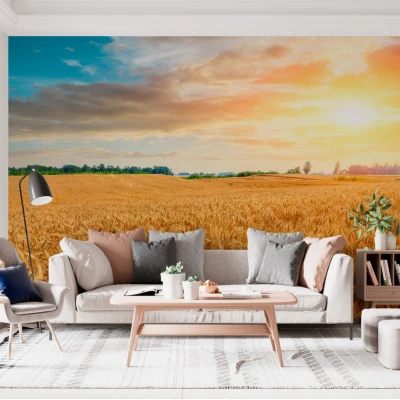 Fototapet fara imbinari Wheat Crop Field Sunset Landscape Premier Decor