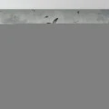 Fototapet fara imbinari Gradina Estetica