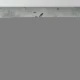 Fototapet fara imbinari Gradina Estetica Fototapet fara imbinari Gradina Estetica