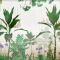 Fototapet fara imbinari Bright Rainforest