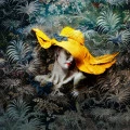 Fototapet fara imbinari Bright Yellow Hat