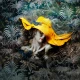Fototapet fara imbinari Bright Yellow Hat