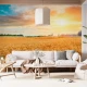 Fototapet fara imbinari Wheat Crop Field Sunset Landscape