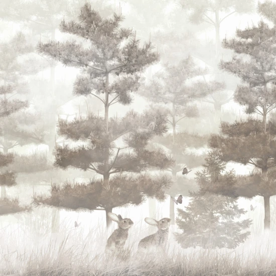 Fototapet fara imbinari Pine Trees In The Fog