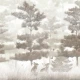 Fototapet fara imbinari Pine Trees In The Fog