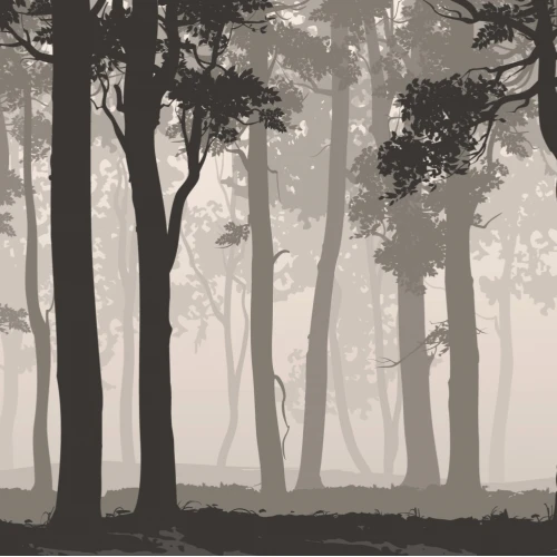 Fototapet fara imbinari Graphics Forest