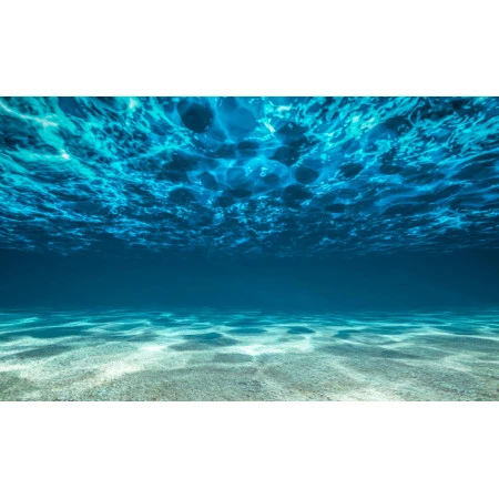 Fototapet fara imbinari Conquered The Underwater World Premier Decor